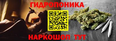 spice Гай